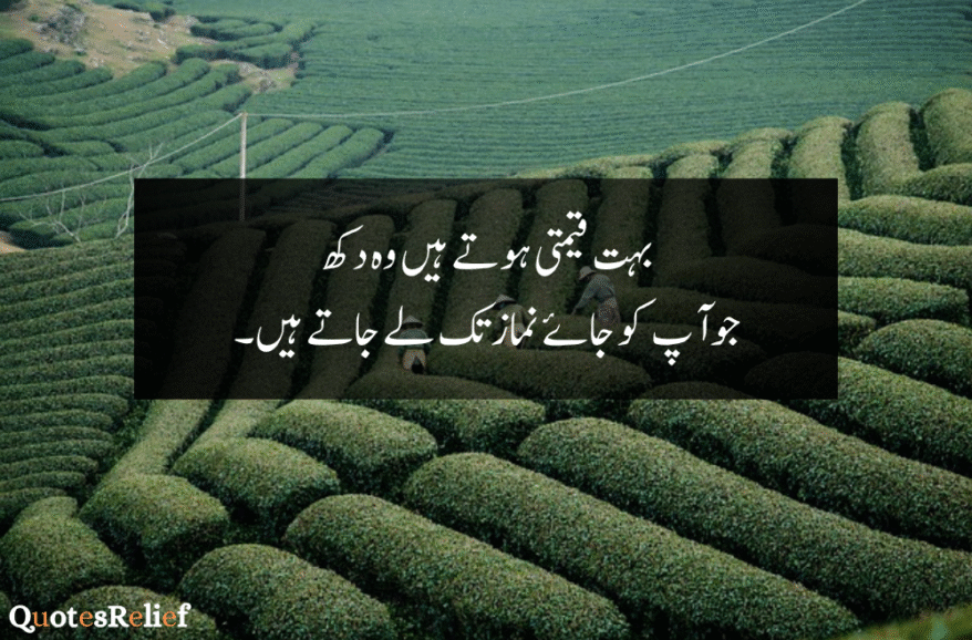 urdu quotes about life reality