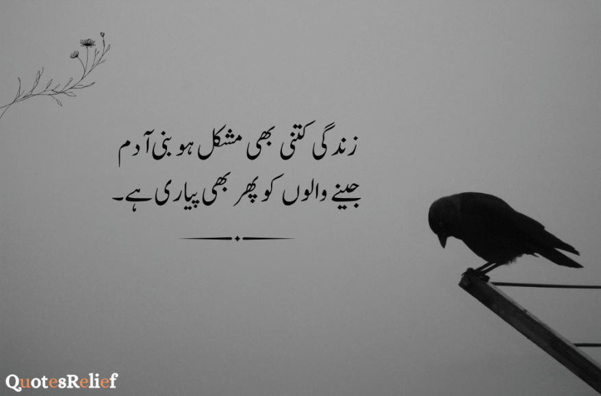 Urdu quotes about life reality 