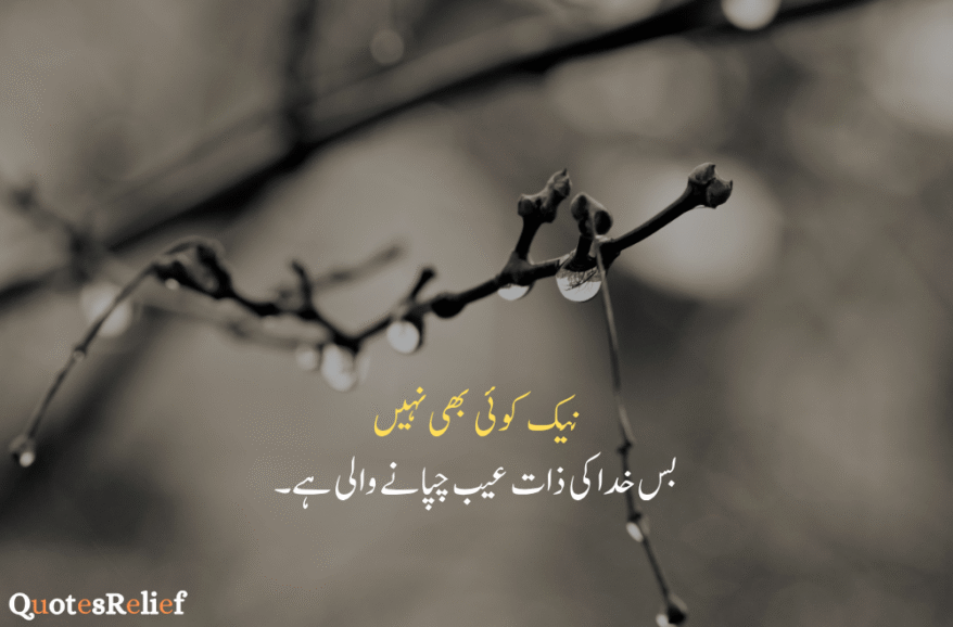 Urdu quotes about life reality